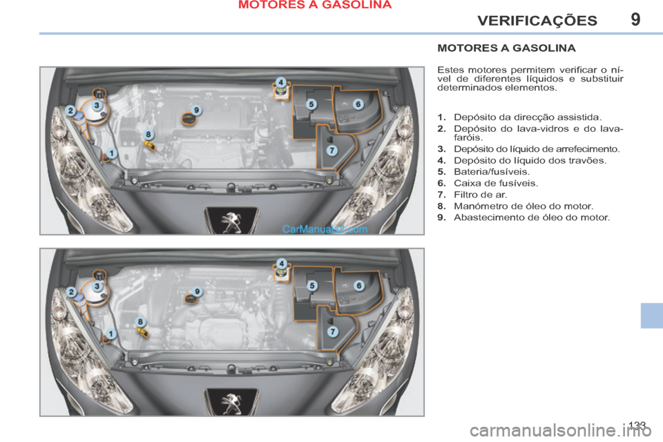 Peugeot 308 CC 2014  Manual do proprietário (in Portuguese) 9
133
VERIFICAÇÕES
MOTORES A GASOLINA 
 Estes  motores  permitem  veriﬁ car  o  ní-
vel de diferentes líquidos e substituir 
determinados elementos. 
   1.   Depósito da direcção assistida. 

