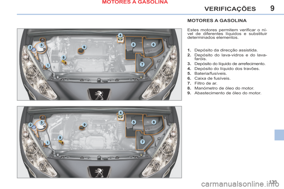 Peugeot 308 CC 2013.5  Manual do proprietário (in Portuguese) 9
133
VERIFICAÇÕES
MOTORES A GASOLINA 
 Estes  motores  permitem  veriﬁ car  o  ní-
vel de diferentes líquidos e substituir 
determinados elementos. 
   1.   Depósito da direcção assistida. 
