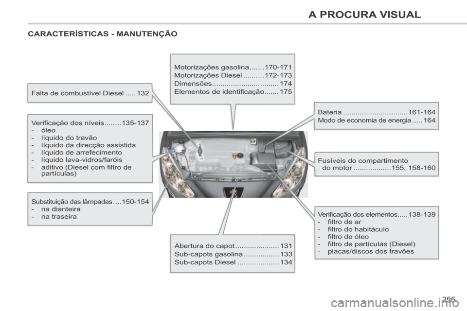 Peugeot 308 CC 2013.5  Manual do proprietário (in Portuguese) 255
A PROCURA VISUAL
 CARACTERÍSTICAS  -  MANUTENÇÃO  
  Falta de combustível Diesel .....132  
  Verificação  dos  níveis ........ 135-137 
   -   óleo 
  -   líquido  do  travão 
  -   lí
