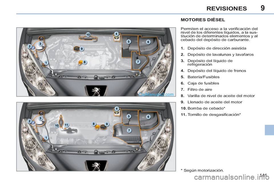 Peugeot 308 CC 2011  Manual del propietario (in Spanish) 9
141
REVISIONES
   
 
 
 
 
 
 
 
 
 
 
 
 
MOTORES DIÉSEL 
 
Permiten el acceso a la veriﬁ cación  del 
nivel de los diferentes líquidos, a la sus-
titución de determinados elementos y al 
ceb