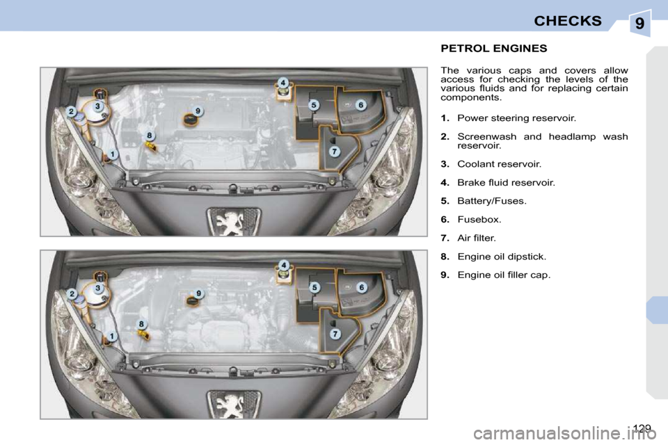 Peugeot 308 CC Dag 2010.5  Owners Manual 9
129
CHECKS
PETROL ENGINES 
 The  various  caps  and  covers  allow  
access  for  checking  the  levels  of  the 
�v�a�r�i�o�u�s�  �ﬂ� �u�i�d�s�  �a�n�d�  �f�o�r�  �r�e�p�l�a�c�i�n�g�  �c�e�r�t�a�