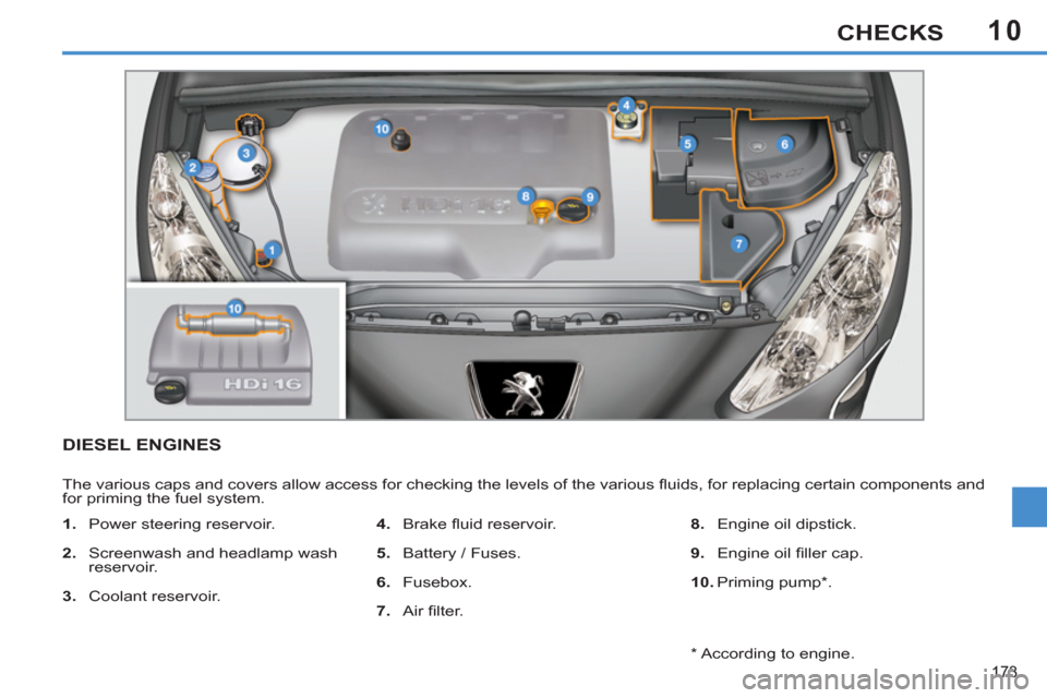 Peugeot 308 SW BL 2013  Owners Manual - RHD (UK, Australia) 10
173
CHECKS
DIESEL ENGINES
  The various caps and covers allow access for checking the levels of the various ﬂ uids, for replacing certain components and 
for priming the fuel system. 
   
 
1. 
 