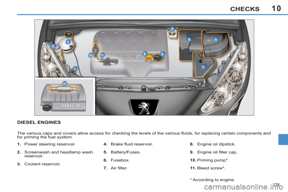 Peugeot 308 SW BL 2011 Owners Manual - RHD (UK. Australia) 10
171
CHECKS
DIESEL ENGINES
The various caps and covers allow access for checking the levels of the various fl uids, for replacing certain components and
for priming Peugeot 308 SW BL 2011 Owners Manual - RHD (UK. Australia) 10
171
CHECKS
DIESEL ENGINES
The various caps and covers allow access for checking the levels of the various fl uids, for replacing certain components and
for priming