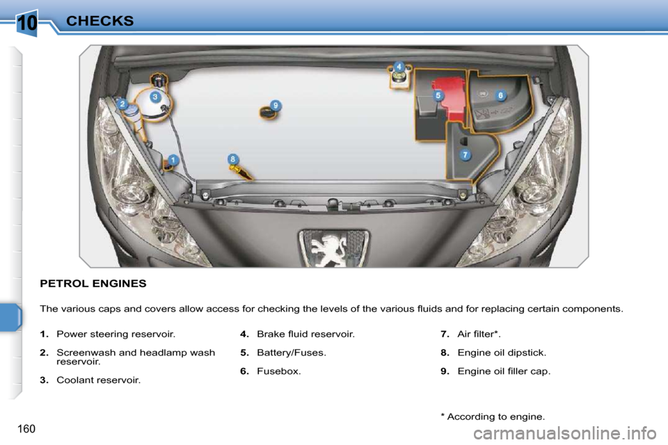 Peugeot 308 SW BL Dag 2009.5  Owners Manual 10
160
CHECKS
PETROL ENGINES 
� �T�h�e� �v�a�r�i�o�u�s� �c�a�p�s� �a�n�d� �c�o�v�e�r�s� �a�l�l�o�w� �a�c�c�e�s�s� �f�o�r� �c�h�e�c�k�i�n�g� �t�h�e� �l�e�v�e�l�s� �o�f� �t�h�e� �v�a�r�i�o�u�s� �ﬂ� �u