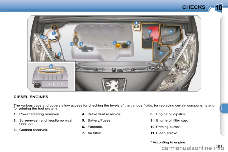 Peugeot 308 SW BL Dag 2009.5  Owners Manual 10
161
CHECKS
DIESEL ENGINES 
� �T�h�e� �v�a�r�i�o�u�s� �c�a�p�s� �a�n�d� �c�o�v�e�r�s� �a�l�l�o�w� �a�c�c�e�s�s� �f�o�r� �c�h�e�c�k�i�n�g� �t�h�e� �l�e�v�e�l�s� �o�f� �t�h�e� �v�a�r�i�o�u�s� �ﬂ� �u