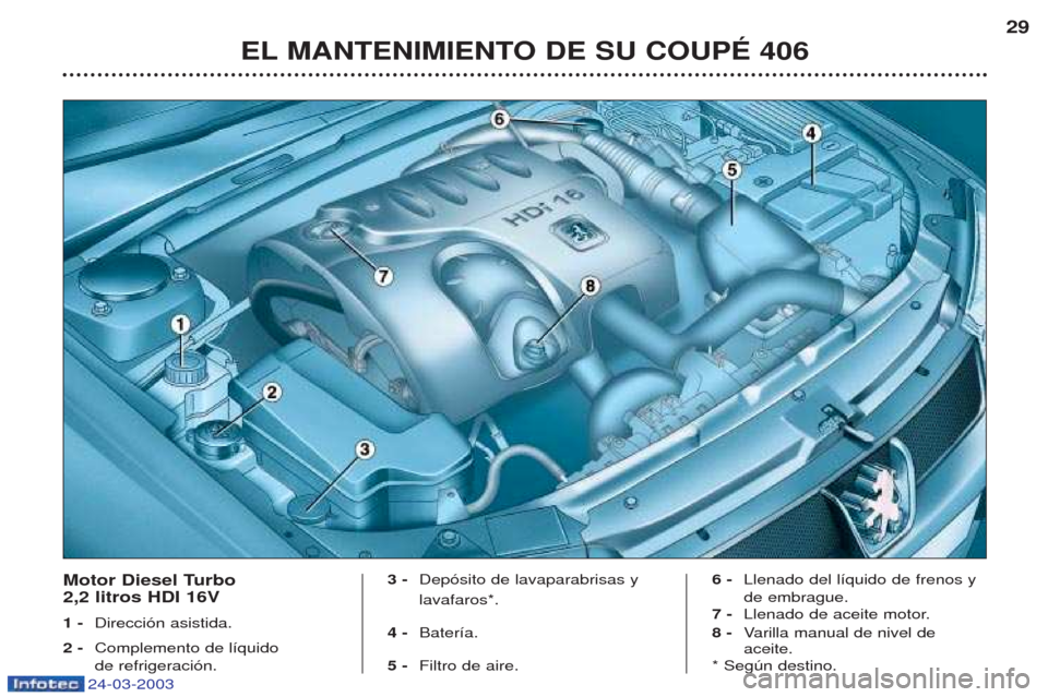 Peugeot 406 C 2003  Manual del propietario (in Spanish) 24-03-2003
EL MANTENIMIENTO DE SU COUPÉ 40629
Motor Diesel Turbo  2,2 litros HDI 16V 1 -
Direcci—n asistida.
2 - Complemento de l’quido  de refrigeraci—n. 3 - 
Dep—sito de lavaparabrisas y la
