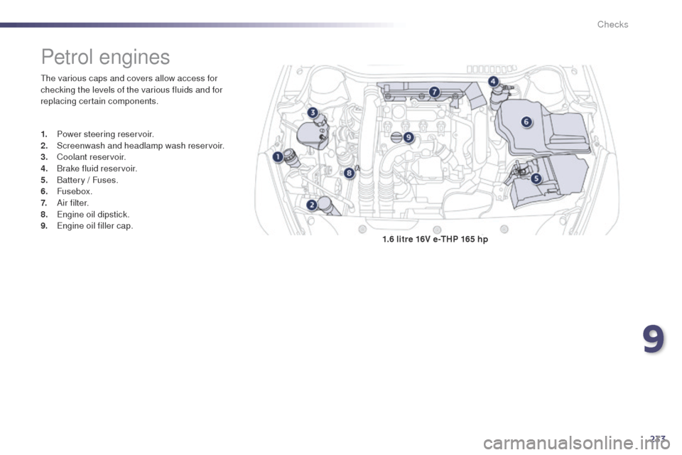 Peugeot 508 Hybrid 2014  Owners Manual 233
508_en_Chap09_verifications_ed02-2014
1.6 litre 16V e-THP 165 hp
Petrol engines
the various caps and covers allow access for 
checking the levels of the various fluids and for 
replacing certain c