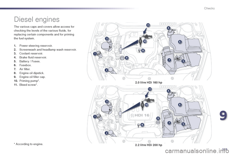 Peugeot 508 Hybrid 2014 Owners Manual 235
508_en_Chap09_verifications_ed02-2014
the various caps and covers allow access for
checking the levels of the various fluids, for
replacing certain components and for priming
the fuel system.
* Peugeot 508 Hybrid 2014 Owners Manual 235
508_en_Chap09_verifications_ed02-2014
the various caps and covers allow access for
checking the levels of the various fluids, for
replacing certain components and for priming
the fuel system.
*