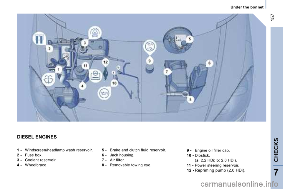 Peugeot 807 Dag 2007.5  Owners Manual �1�5�7
�U�n�d�e�r� �t�h�e� �b�o�n�n�e�t
�C�H�E�C�K�S
�7
�D�I�E�S�E�L� �E�N�G�I�N�E�S�5� �-� �B�r�a�k�e� �a�n�d� �c�l�u�t�c�h� �f�l�u�i�d� �r�e�s�e�r�v�o�i�r�.
�6� �-�  �J�a�c�k� �h�o�u�s�i�n�g�.
�7� �
