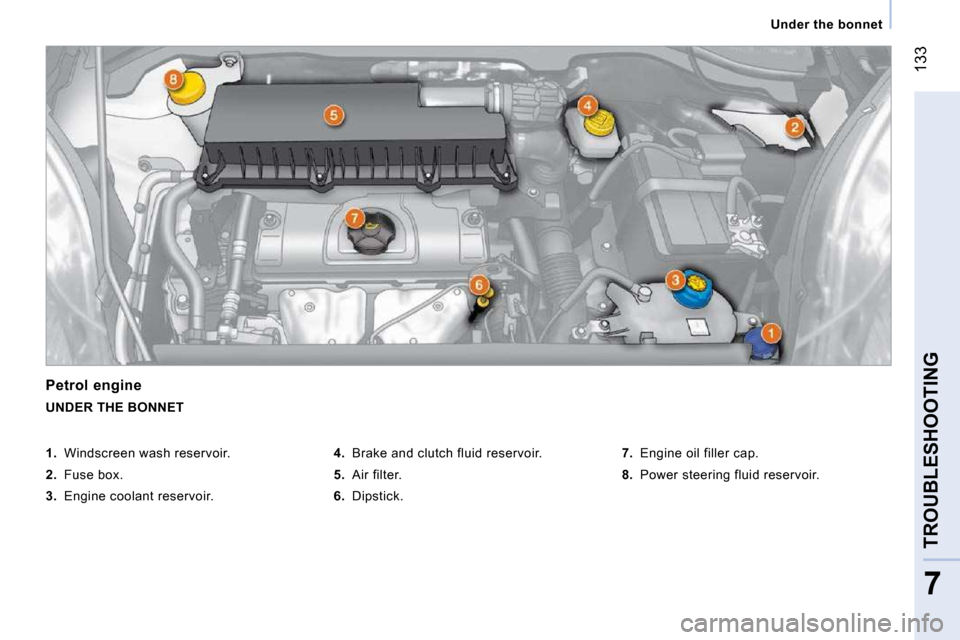 Peugeot Bipper 2009  Owners Manual 133
7
TROUBLESHOOTING
   Under the bonnet   
  Petrol engine  
 UNDER THE BONNET 
  
4.    Brake and clutch fluid reservoir. 
  
5.    Air filter. 
  
6.    Dipstick.    
7.    Engine oil filler cap. 