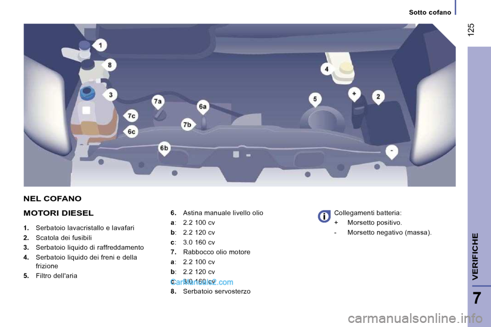 Peugeot Boxer 2010  Manuale del proprietario (in Italian)    Sotto  cofano   
 125
7
VERIFICHE
  MOTORI DIESEL 
   
1.    Serbatoio lavacristallo e lavafari 
  
2.    Scatola dei fusibili 
  
3.    Serbatoio liquido di raffreddamento 
  
4.    Serbatoio liqu