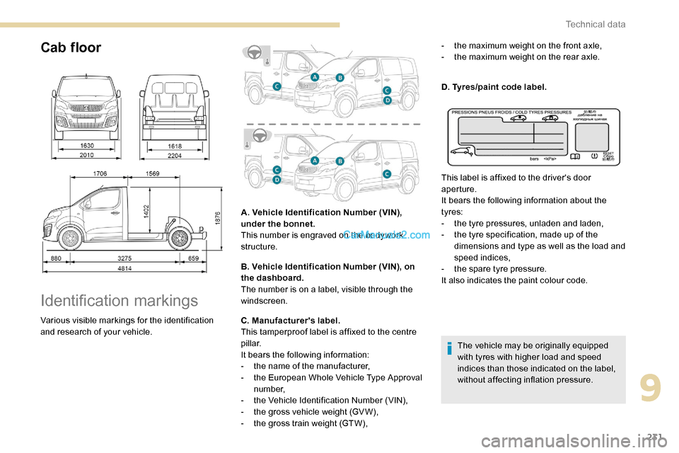 Peugeot Expert 2019  Owners Manual 231
Cab floor
Identification markings
Various visible markings for the identification 
and research of your vehicle.A. Vehicle Identification Number (VIN), 
under the bonnet.
This number is engraved o