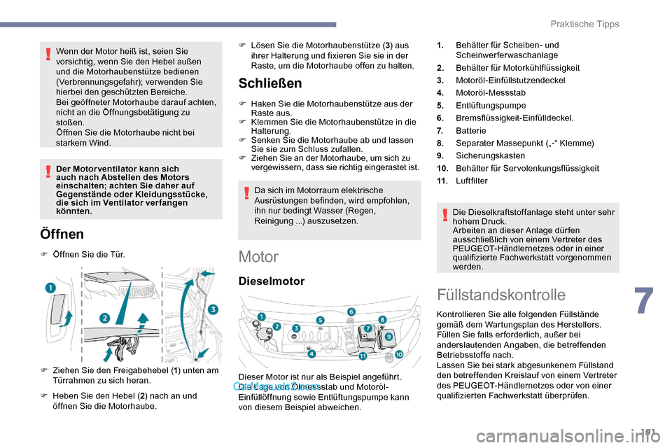 Peugeot Expert 2019  Betriebsanleitung (in German) 191
Wenn der Motor heiß ist, seien Sie 
vorsichtig, wenn Sie den Hebel außen 
und die Motorhaubenstütze bedienen 
(Verbrennungsgefahr); verwenden Sie 
hierbei den geschützten Bereiche.
Bei geöffn