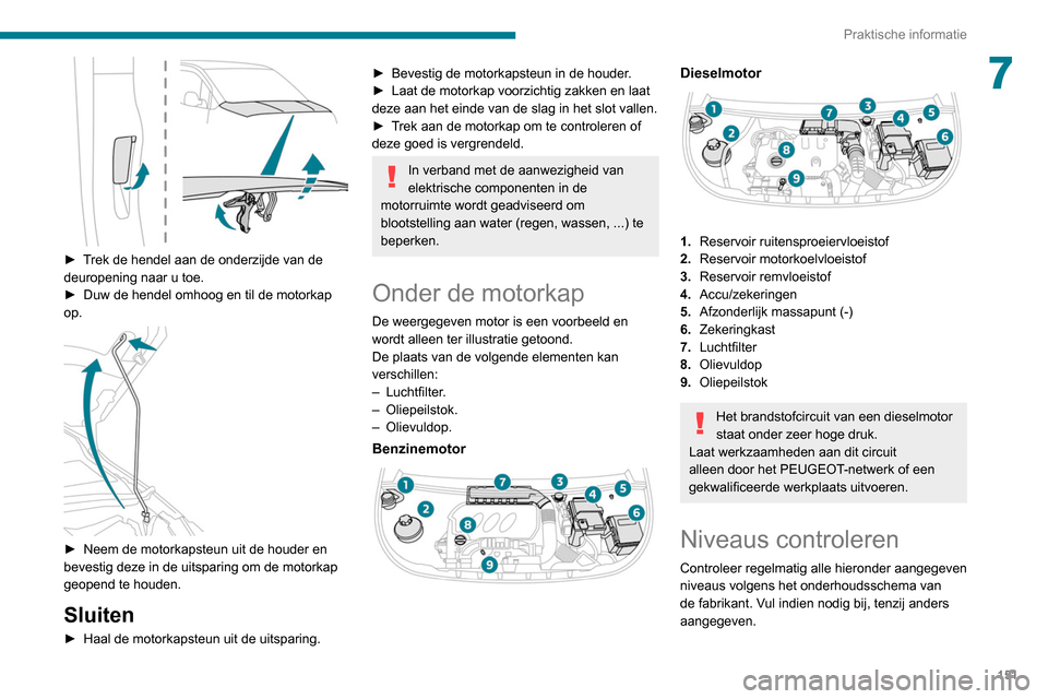 Peugeot Partner 2020  Handleiding (in Dutch) 151
Praktische informatie
7
 
► Trek de hendel aan de onderzijde van de 
deuropening naar u toe.
► 
Duw de hendel omhoog en til de motorkap 
op.
 
 
► Neem de motorkapsteun uit de houder en 
bev