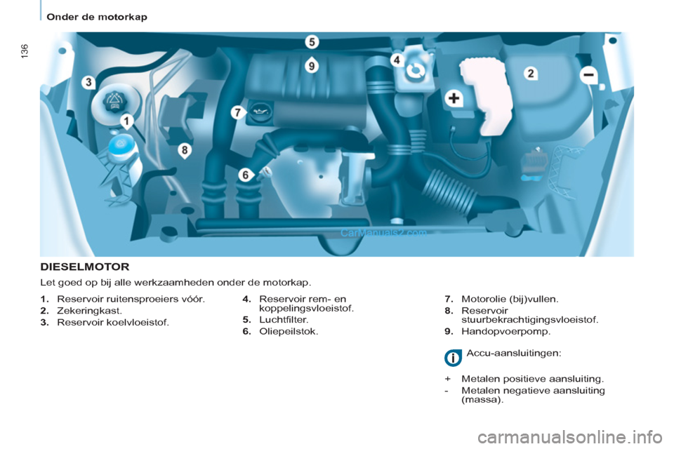 Peugeot Partner Tepee 2013  Handleiding (in Dutch) 136
   
 
Onder de motorkap  
 
 
 
DIESELMOTOR 
 
 
4.   Reservoir rem- en 
koppelingsvloeistof. 
   
5.  Luchtfilter. 
   
6.  Oliepeilstok.    
7.  Motorolie (bij)vullen. 
   
8.  Reservoir 
stuurb