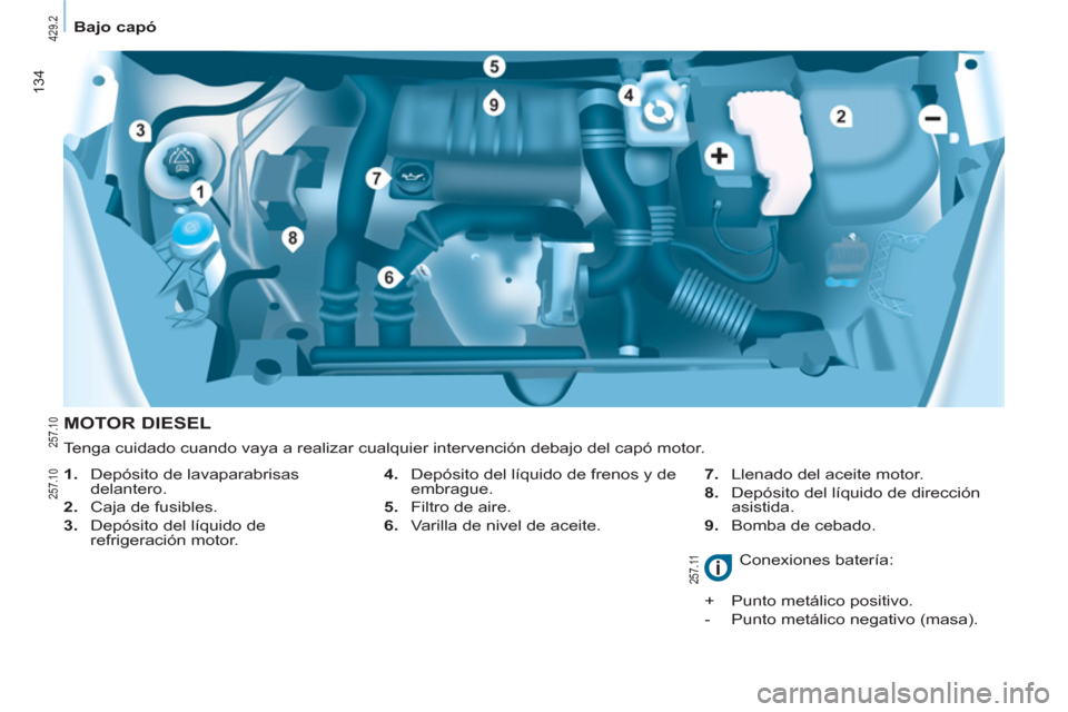 Peugeot Partner Tepee 2012 Manual del propietario (in Spanish) 134
Bajo capó
MOTOR DIESEL
4. Depósito del líquido de frenos y de
embrague.
5. Filtro de aire.
6. Varilla de nivel de aceite.
7. Llenado del aceite motor. Peugeot Partner Tepee 2012 Manual del propietario (in Spanish) 134
Bajo capó
MOTOR DIESEL
4. Depósito del líquido de frenos y de
embrague.
5. Filtro de aire.
6. Varilla de nivel de aceite.
7. Llenado del aceite motor.