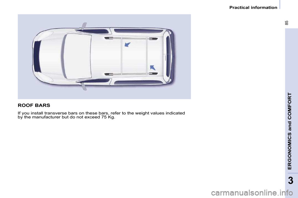 Peugeot Partner Tepee 2010 Manual Online  85
ERGONOMICS 
and
 COMFORT
3
   Practical information   
 ROOF BARS 
� �I�f� �y�o�u� �i�n�s�t�a�l�l� �t�r�a�n�s�v�e�r�s�e� �b�a�r�s� �o�n� �t�h�e�s�e� �b�a�r�s�,� �r�e�f�e�r� �t�o� �t�h�e� �w�e�i�g�
