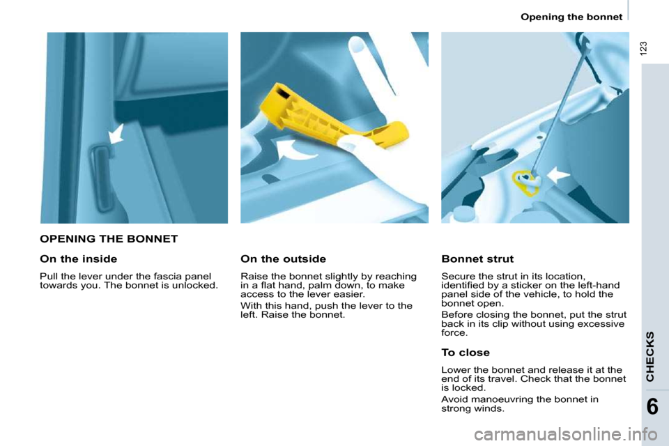 Peugeot Partner Tepee 2009  Owners Manual  123
   Opening the bonnet 
CHECKS
6
   OPENING THE BONNET 
  Bonnet strut  
 Secure the strut in its location,  
�i�d�e�n�t�i�ﬁ� �e�d� �b�y� �a� �s�t�i�c�k�e�r� �o�n� �t�h�e� �l�e�f�t�-�h�a�n�d� 
p