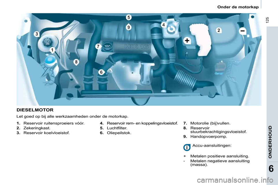 Peugeot Partner Tepee 2009  Handleiding (in Dutch)  125
ONDERHOUD
6
   Onder de motorkap   
  DIESELMOTOR    
4.    Reservoir rem- en koppelingsvloeistof. 
  
5.  �  �L�u�c�h�t�ﬁ� �l�t�e�r�.� 
  
6.    Oliepeilstok.    
7.    Motorolie (bij)vullen. 