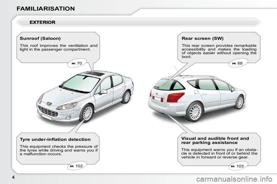 Peugeot 407 2010  Owners Manual 