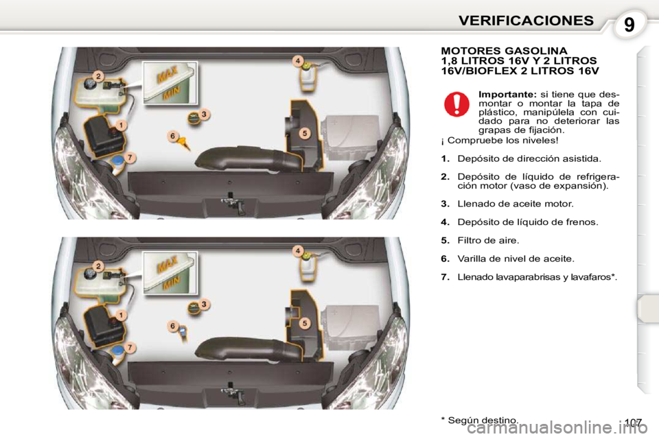 Peugeot 407 2010  Manual del propietario (in Spanish) 9VERIFICACIONES
107
 MOTORES GASOLINA 1,8 LITROS 16V Y 2 LITROS 16V/BIOFLEX 2 LITROS 16V 
  *   Según destino.     
Importante:   si tiene que des-
montar  o  montar  la  tapa  de  
plástico,  manip