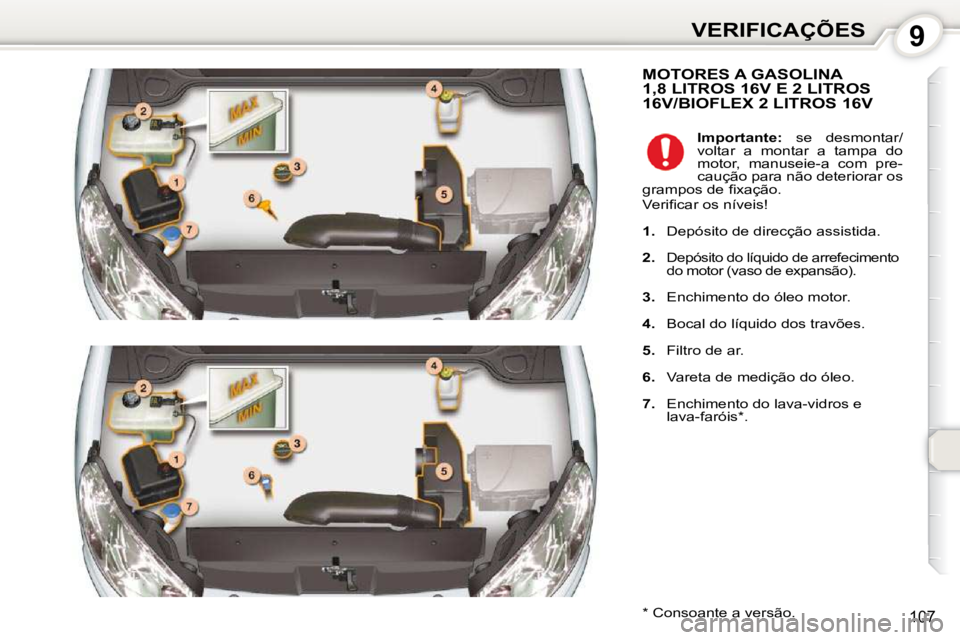 Peugeot 407 2010  Manual do proprietário (in Portuguese) 9VERIFICAÇÕES
107
 MOTORES A GASOLINA1,8 LITROS 16V E 2 LITROS 16V/BIOFLEX 2 LITROS 16V 
� � �*� � � �C�o�n�s�o�a�n�t�e� �a� �v�e�r�s�ã�o�.� �   
Importante:    se  desmontar/
voltar  a  montar  a 