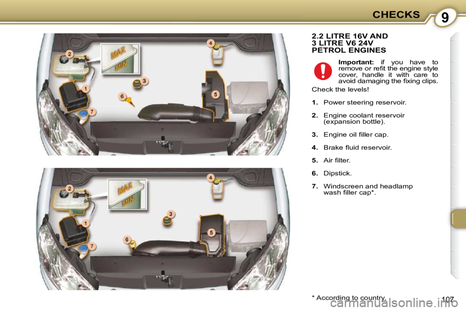 Peugeot 407 2009  Owners Manual 9CHECKS
107
 2.2 LITRE 16V AND3 LITRE V6 24VPETROL ENGINES 
  *   According to country.     
Important:    if  you  have  to
�r�e�m�o�v�e� �o�r� �r�e�ﬁ� �t� �t�h�e� �e�n�g�i�n�e� �s�t�y�l�e�  
cover