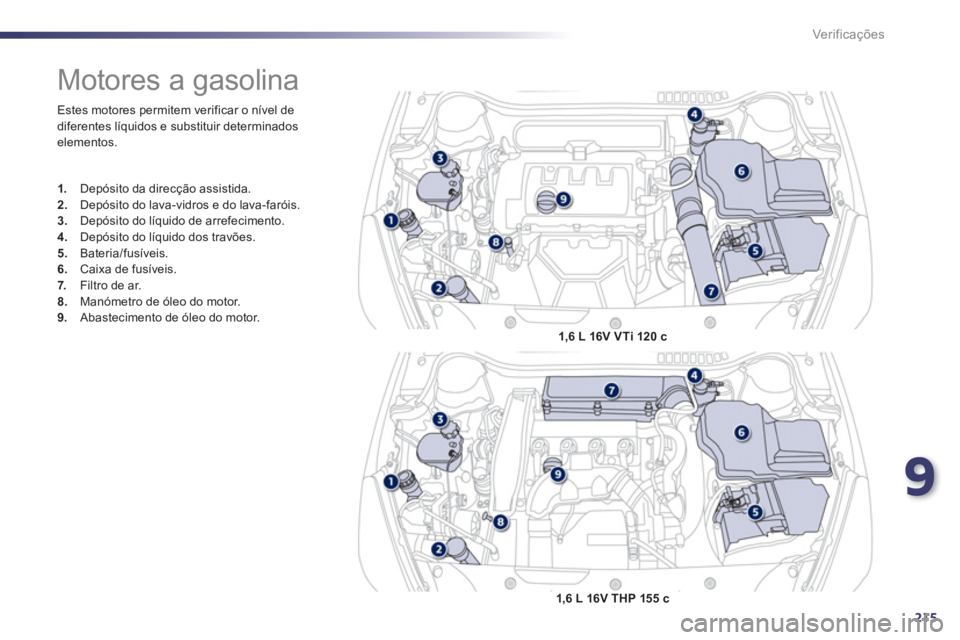 Peugeot 508 2012  Manual do proprietário (in Portuguese) 9
215
Ver if ic aç ões
  Estes motores permitem verificar o nível de
diferentes líquidos e substituir determinados 
elementos. 
   
 
 
 
 
 
 
 
 
 
 
 
 
 
Motores a gasolina 
1. 
  Depósito da
