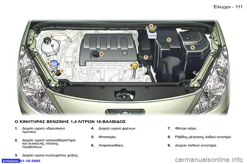 Peugeot 307 2005.5  Εγχειρίδιο χρήσης (in Greek) 