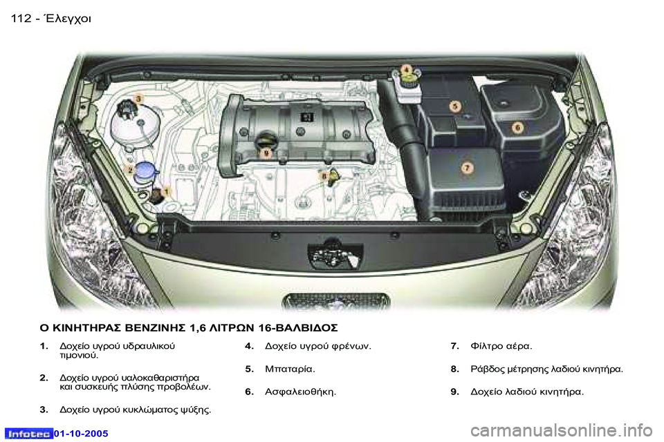 Peugeot 307 2005.5  Εγχειρίδιο χρήσης (in Greek) 
