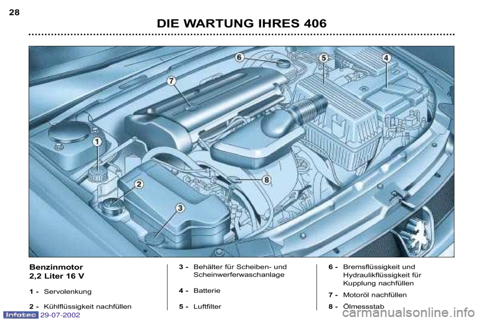 Peugeot 406 2002.5  Betriebsanleitung (in German) DIE WARTUNG IHRES 406
28
Benzinmotor  
2,2 Liter 16 V  
1 � 
Servolenkung
2 �  Kühlflüssigkeit nachfüllen 3 � 
Behälter für Scheiben� und 
Scheinwerferwaschanlage
4 �  Batterie
5 �  Luftfilter 6 