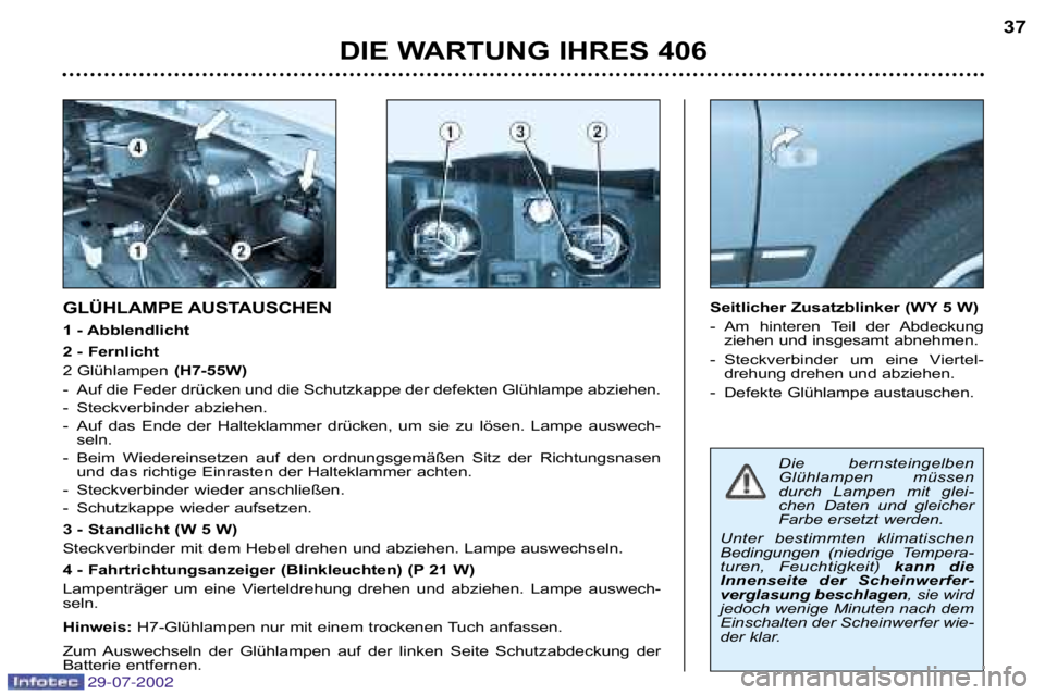 Peugeot 406 2002.5  Betriebsanleitung (in German) Die  bernsteingelben 
Glühlampen  müssen
durch  Lampen  mit  glei�
chen  Daten  und  gleicher
Farbe ersetzt werden. 
Unter  bestimmten  klimatischen
Bedingungen  (niedrige  Tempera�
turen,  Feuchtig