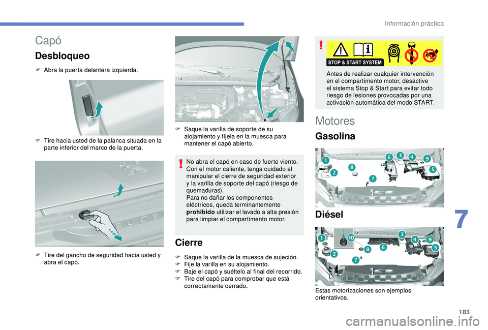 Peugeot 308 2018 Manual del propietario (in Spanish) 183
Capó
Desbloqueo
F Abra la puerta delantera izquierda.
F
T
ire hacia usted de la palanca situada en la
parte inferior del marco de la puerta.
F
T
ire del gancho de seguridad hacia usted y
a Peugeot 308 2018 Manual del propietario (in Spanish) 183
Capó
Desbloqueo
F Abra la puerta delantera izquierda.
F
T
ire hacia usted de la palanca situada en la
parte inferior del marco de la puerta.
F
T
ire del gancho de seguridad hacia usted y
a
