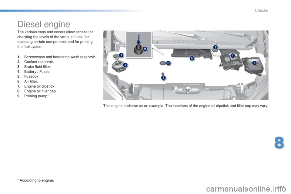Peugeot 308 2014.5  Owners Manual - RHD (UK, Australia) 277
the various caps and covers allow access for 
checking the levels of the various fluids, for 
replacing certain components and for priming 
the fuel system.
* According to engine.
Diesel engine
1.