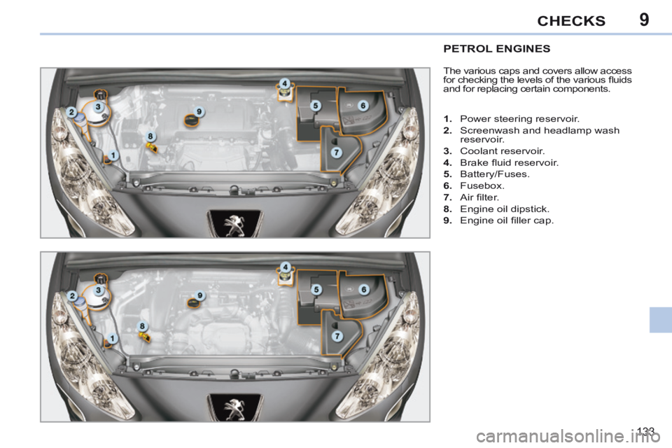 PEUGEOT 308 CC 2013  Owners Manual 9
133
CHECKS
PETROL ENGINES 
 The various caps and covers allow access 
for checking the levels of the various ﬂ uids 
and for replacing certain components. 
   1.   Power steering reservoir. 
  2. 