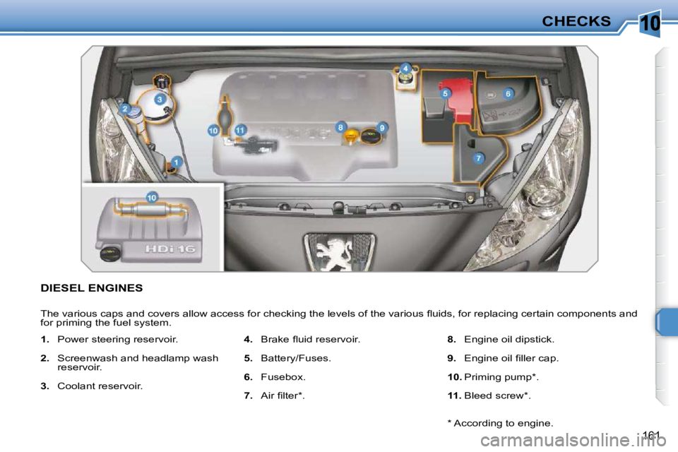 PEUGEOT 308 SW BL 2009  Owners Manual 10
161
CHECKS
DIESEL ENGINES 
� �T�h�e� �v�a�r�i�o�u�s� �c�a�p�s� �a�n�d� �c�o�v�e�r�s� �a�l�l�o�w� �a�c�c�e�s�s� �f�o�r� �c�h�e�c�k�i�n�g� �t�h�e� �l�e�v�e�l�s� �o�f� �t�h�e� �v�a�r�i�o�u�s� �ﬂ� �u