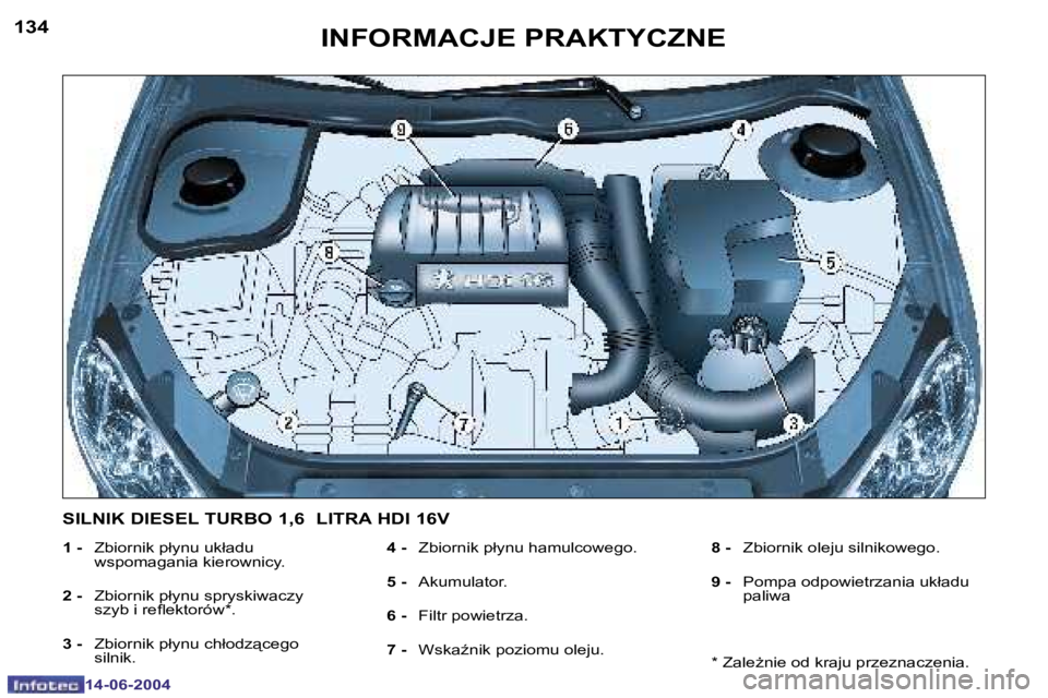PEUGEOT 206 2004  Instrukcja obsługi (in Polish) �1�3�4
�1�4�-�0�6�-�2�0�0�4
�1�3�5
�1�4�-�0�6�-�2�0�0�4
�I�N�F�O�R�M�A�C�J�E� �P�R�A�K�T�Y�C�Z�N�E
�1� �-�  �Z�b�i�o�r�n�i�k� �p�ł�y�n�u� �u�k�ł�a�d�u� 
�w�s�p�o�m�a�g�a�n�i�a� �k�i�e�r�o�w�n�i�c�y�