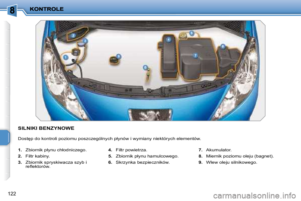 PEUGEOT 207 2007.5  Instrukcja obsługi (in Polish) 122
� �S�I�L�N�I�K�I� �B�E�N�Z�Y�N�O�W�E� 
� �D�o�s�t
�p� �d�o� �k�o�n�t�r�o�l�i� �p�o�z�i�o�m�u� �p�o�s�z�c�z�e�g�ó�l�n�y�c�h� �p�ł�y�n�ó�w� �i� �w�y�m�i�a�n�y� �n�i�e�k�t�ó�r�y�c�h� �e�l�e�m�e�