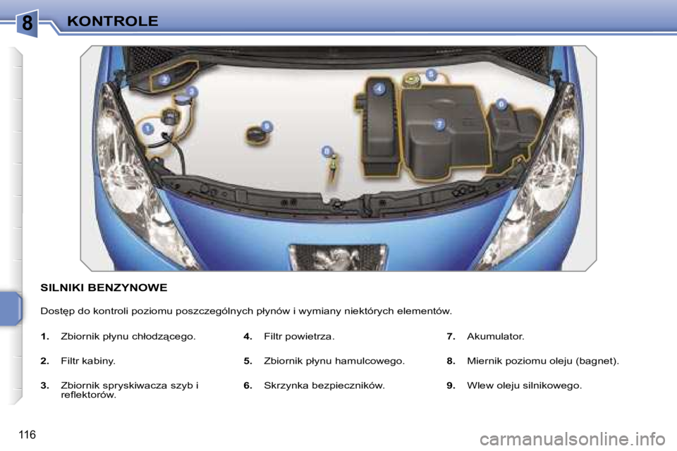 PEUGEOT 207 2005.5  Instrukcja obsługi (in Polish) �8�K�O�N�T�R�O�L�E
�1�1�6
�S�I�L�N�I�K�I� �B�E�N�Z�Y�N�O�W�E
�D�o�s�t
�p� �d�o� �k�o�n�t�r�o�l�i� �p�o�z�i�o�m�u� �p�o�s�z�c�z�e�g�ó�l�n�y�c�h� �p�ł�y�n�ó�w� �i� �w�y�m�i�a�n�y� �n�i�e�k�t�ó�r�y�