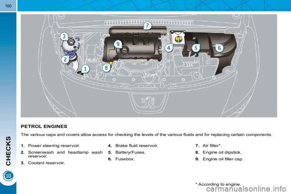 PEUGEOT 3008 2010  Owners Manual CHECKS
160
PETROL ENGINES 
� �T�h�e� �v�a�r�i�o�u�s� �c�a�p�s� �a�n�d� �c�o�v�e�r�s� �a�l�l�o�w� �a�c�c�e�s�s� �f�o�r� �c�h�e�c�k�i�n�g� �t�h�e� �l�e�v�e�l�s� �o�f� �t�h�e� �v�a�r�i�o�u�s� �ﬂ� �u�i�