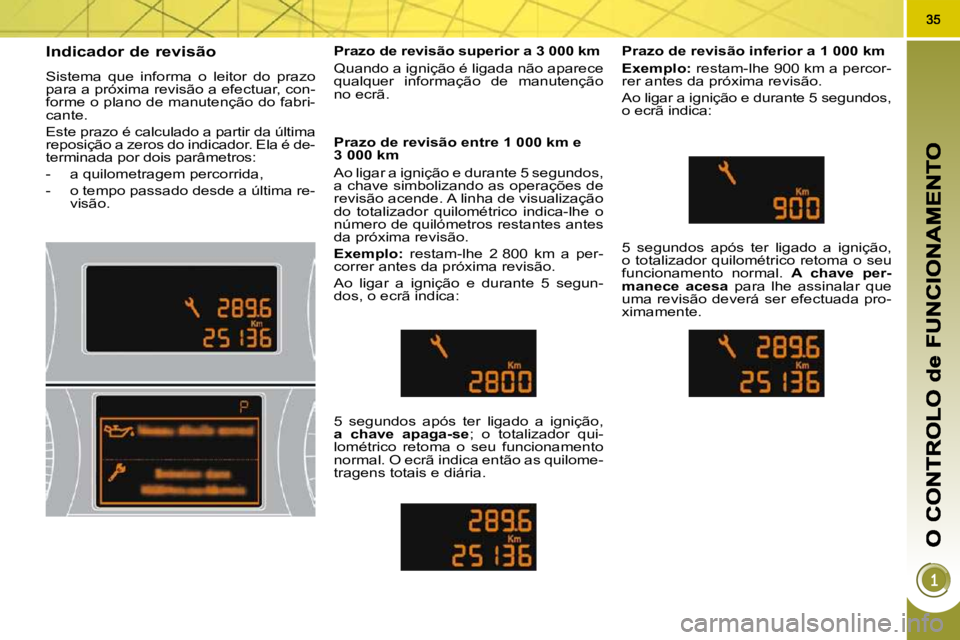 PEUGEOT 3008 2010  Manual de utilização (in Portuguese)       Indicador de revisão 
 Sistema  que  informa  o  leitor  do  prazo  
para a próxima revisão a efectuar, con-
forme o plano de manutenção do fabri-
cante.  
 Este prazo é calculado a partir