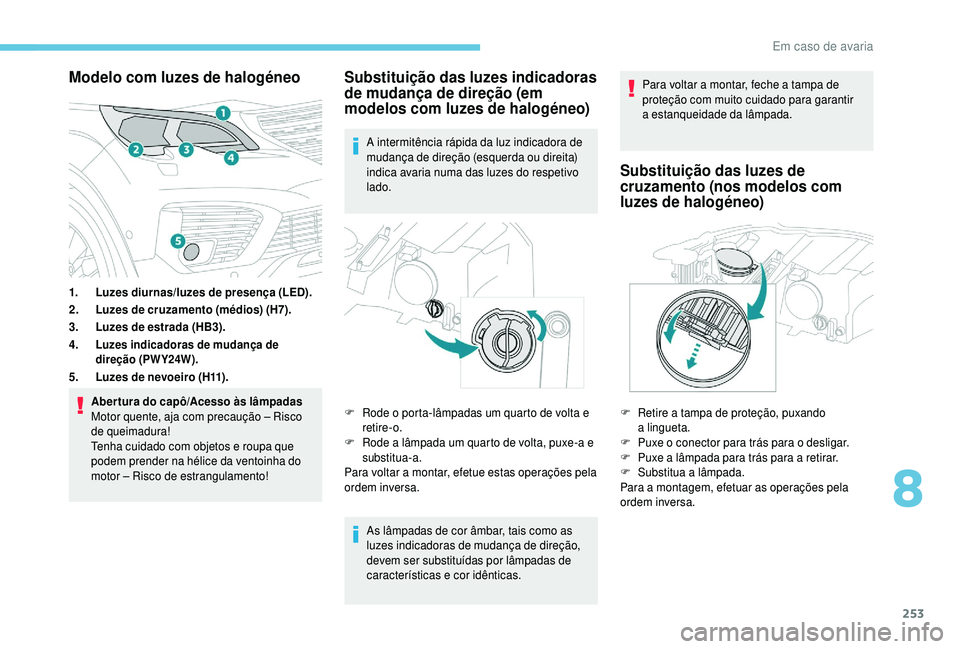 PEUGEOT 5008 2018  Manual de utilização (in Portuguese) 253
Modelo com luzes de halogéneo
1.Luzes diurnas/luzes de presença (LED).
2. Luzes de cruzamento (médios) (H7).
3. Luzes de estrada (HB3).
4.
Luzes indicadoras de mudança de 
direção (PWY24W).
