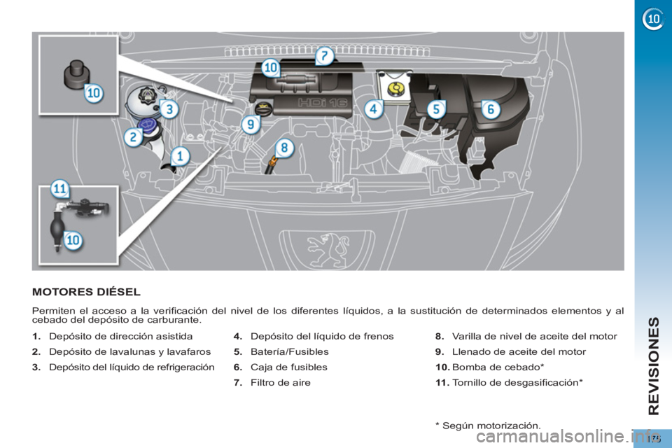 PEUGEOT 5008 2012  Manual del propietario (in Spanish) REVISIONES
175
MOTORES DIÉSEL 
  Permiten el acceso a la veriﬁ cación del nivel de los diferentes líquidos, a la sustitución de determinados elementos y al 
cebado del depósito de carburante. 
