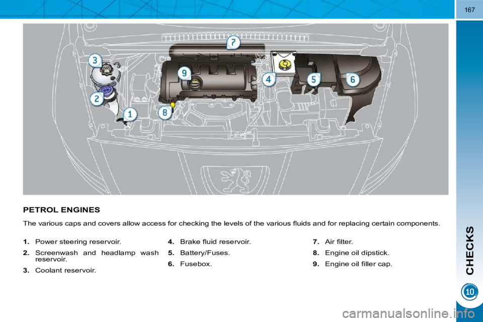 PEUGEOT 5008 2010.5  Owners Manual CHECKS
167
PETROL ENGINES 
� �T�h�e� �v�a�r�i�o�u�s� �c�a�p�s� �a�n�d� �c�o�v�e�r�s� �a�l�l�o�w� �a�c�c�e�s�s� �f�o�r� �c�h�e�c�k�i�n�g� �t�h�e� �l�e�v�e�l�s� �o�f� �t�h�e� �v�a�r�i�o�u�s� �ﬂ� �u�i�