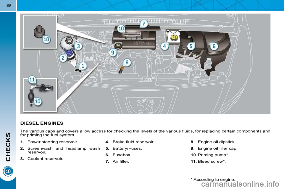 PEUGEOT 5008 2010.5  Owners Manual CHECKS
168
DIESEL ENGINES 
� �T�h�e� �v�a�r�i�o�u�s� �c�a�p�s� �a�n�d� �c�o�v�e�r�s� �a�l�l�o�w� �a�c�c�e�s�s� �f�o�r� �c�h�e�c�k�i�n�g� �t�h�e� �l�e�v�e�l�s� �o�f� �t�h�e� �v�a�r�i�o�u�s� �ﬂ� �u�i�