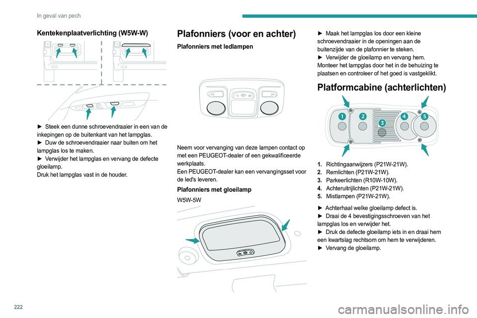 PEUGEOT EXPERT 2023  Instructieboekje (in Dutch) 222
In geval van pech
Kentekenplaatverlichting (W5W-W) 
 
► Steek een dunne schroevendraaier in een van de 
inkepingen op de buitenkant van het lampglas.
►
 
Duw de schroevendraaier naar buiten om