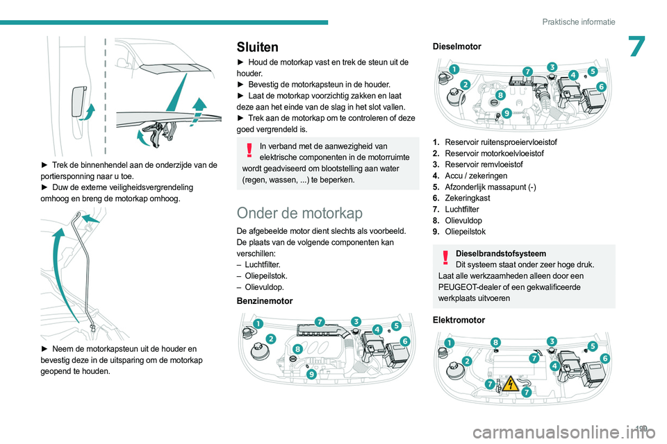 PEUGEOT PARTNER 2022 Instructieboekje (in Dutch) 199
Praktische informatie
7
► Trek de binnenhendel aan de onderzijde van de
portiersponning naar u toe.
►
Duw de externe veiligheidsvergrendeling
omhoog en breng de motorkap omhoog.
► PEUGEOT PARTNER 2022 Instructieboekje (in Dutch) 199
Praktische informatie
7
► Trek de binnenhendel aan de onderzijde van de
portiersponning naar u toe.
►
Duw de externe veiligheidsvergrendeling
omhoog en breng de motorkap omhoog.
►