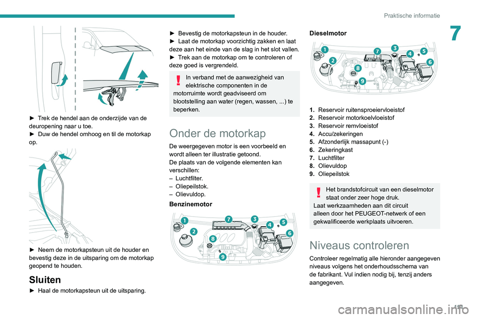 PEUGEOT PARTNER 2021 Instructieboekje (in Dutch) 151
Praktische informatie
7
► Trek de hendel aan de onderzijde van de
deuropening naar u toe.
►
Duw de hendel omhoog en til de motorkap
op.
► Neem de motorkapsteun uit de houder en
bev PEUGEOT PARTNER 2021 Instructieboekje (in Dutch) 151
Praktische informatie
7
► Trek de hendel aan de onderzijde van de
deuropening naar u toe.
►
Duw de hendel omhoog en til de motorkap
op.
► Neem de motorkapsteun uit de houder en
bev