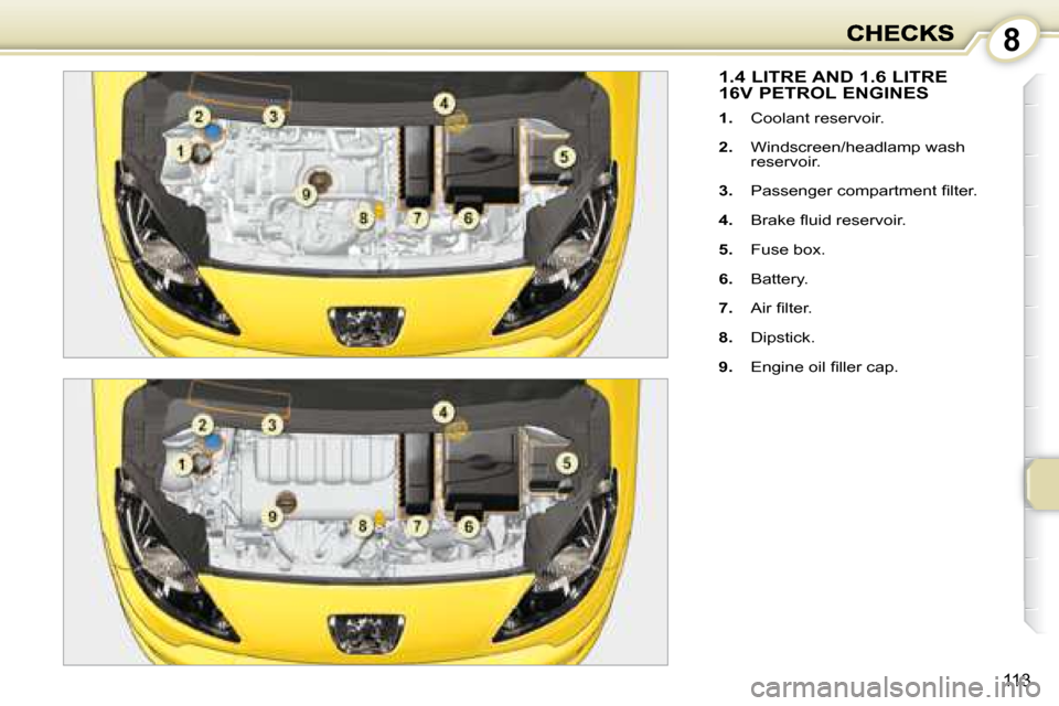 Peugeot 1007 Dag 2008.5  Owners Manual 8
113
         1.4 LITRE AND 1.6 LITRE16V PETROL ENGINES 
   
1.    Coolant reservoir. 
  
2.    Windscreen/headlamp wash 
reservoir. 
  
3. � �  �P�a�s�s�e�n�g�e�r� �c�o�m�p�a�r�t�m�e�n�t� �ﬁ� �l�t