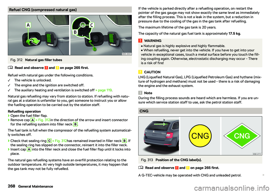 SKODA OCTAVIA 2019  Owner´s Manual Refuel CNG (compressed natural gas)Fig. 312 
Natural gas filler tubes
�